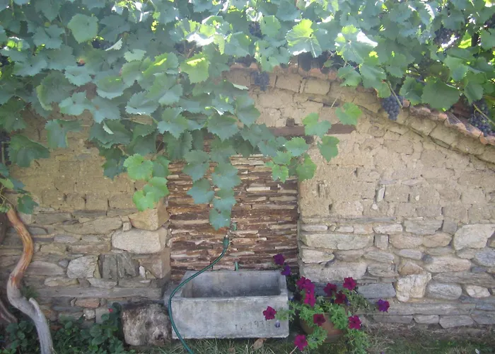 Guest House Popov